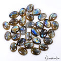 Labradorite Lot, Cabochon, Untreated, Blue — 30 Pieces, 15mm to 17mm, 256.10 Ct
