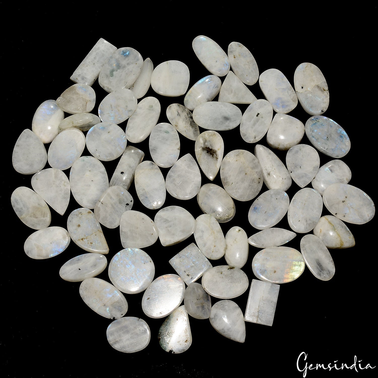 1200Ct/61 Pcs Natural Untreated Blue Shine Moonstone Mix Cab Loose Wholesale Gem