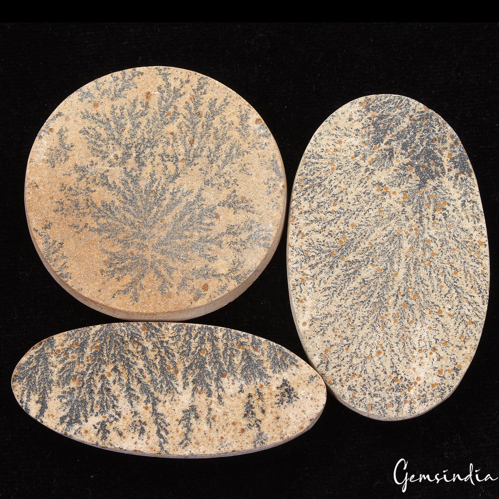 370 Cts/3 Pcs Natural Psilomelane Dendrite Fossil Tree Agate Mix Cut Loose Gems