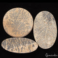 370 Cts/3 Pcs Natural Psilomelane Dendrite Fossil Tree Agate Mix Cut Loose Gems