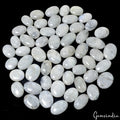 2000 Cts/55 Pcs Natural Untreated Blue Shine Moonstone Oval Cab Wholesale Gems