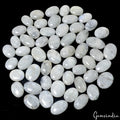 Moonstone Lot, Cabochon, Untreated, Blue — 55 Pieces, 20mm to 36mm, 2000 Ct, Madagascar