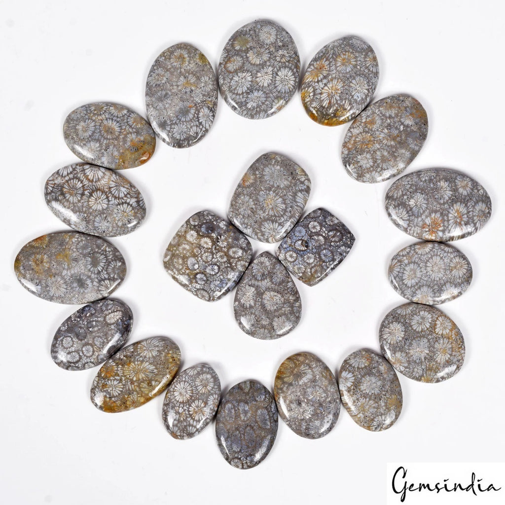 Coral Lot, Cabochon, Untreated — 20 Pieces, 29mm to 19mm, 1100 Ct
