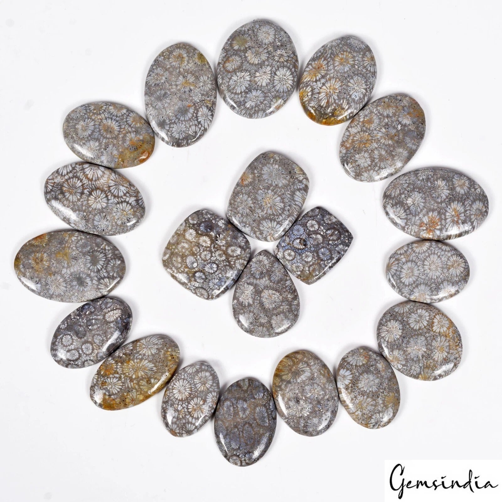 Coral Lot, Cabochon, Untreated — 20 Pieces, 29mm to 19mm, 1100 Ct