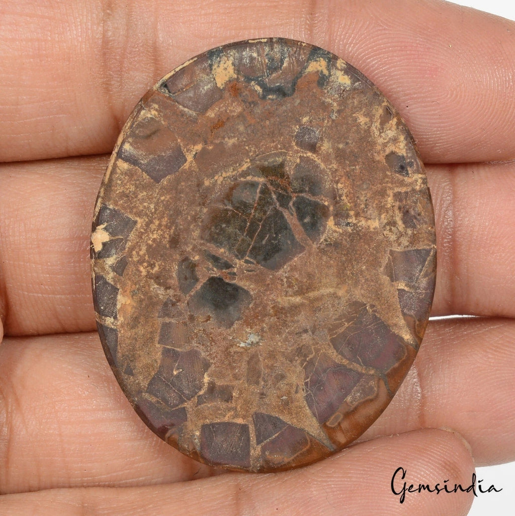 58.50 Cts Natural Untreated Bi-Color Spiderweb Design Septarian Oval Loose Gem