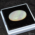 14.80 Cts Australian Opal 26x16mm Top Quality Flash Oval Cabochon Certified Gem