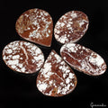 800Ct/5 Pcs Natural Untreated Nevada White Buffalo Turquoise Mix Cab Loose Gems