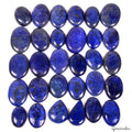 1260 Cts/30 Pcs Natural Blue Lapis Lazuli Gold Flecks Mix Loose Wholesale Gems