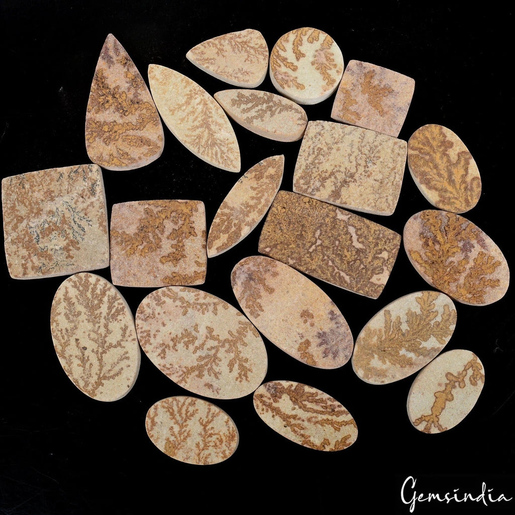 640 Cts/20 Pcs Natural Psilomelane Dendrite Fossil Tree Agate Mix Cut Loose Gems