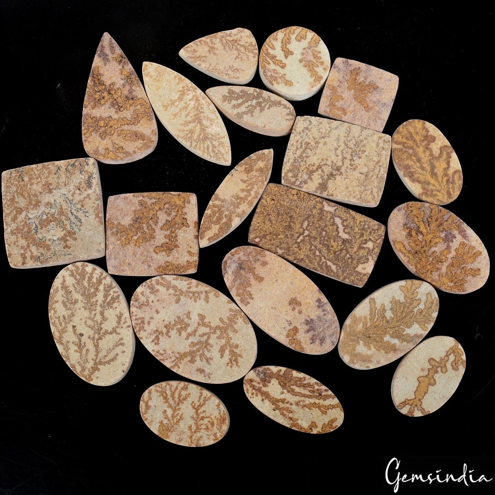 640 Cts/20 Pcs Natural Psilomelane Dendrite Fossil Tree Agate Mix Cut Loose Gems