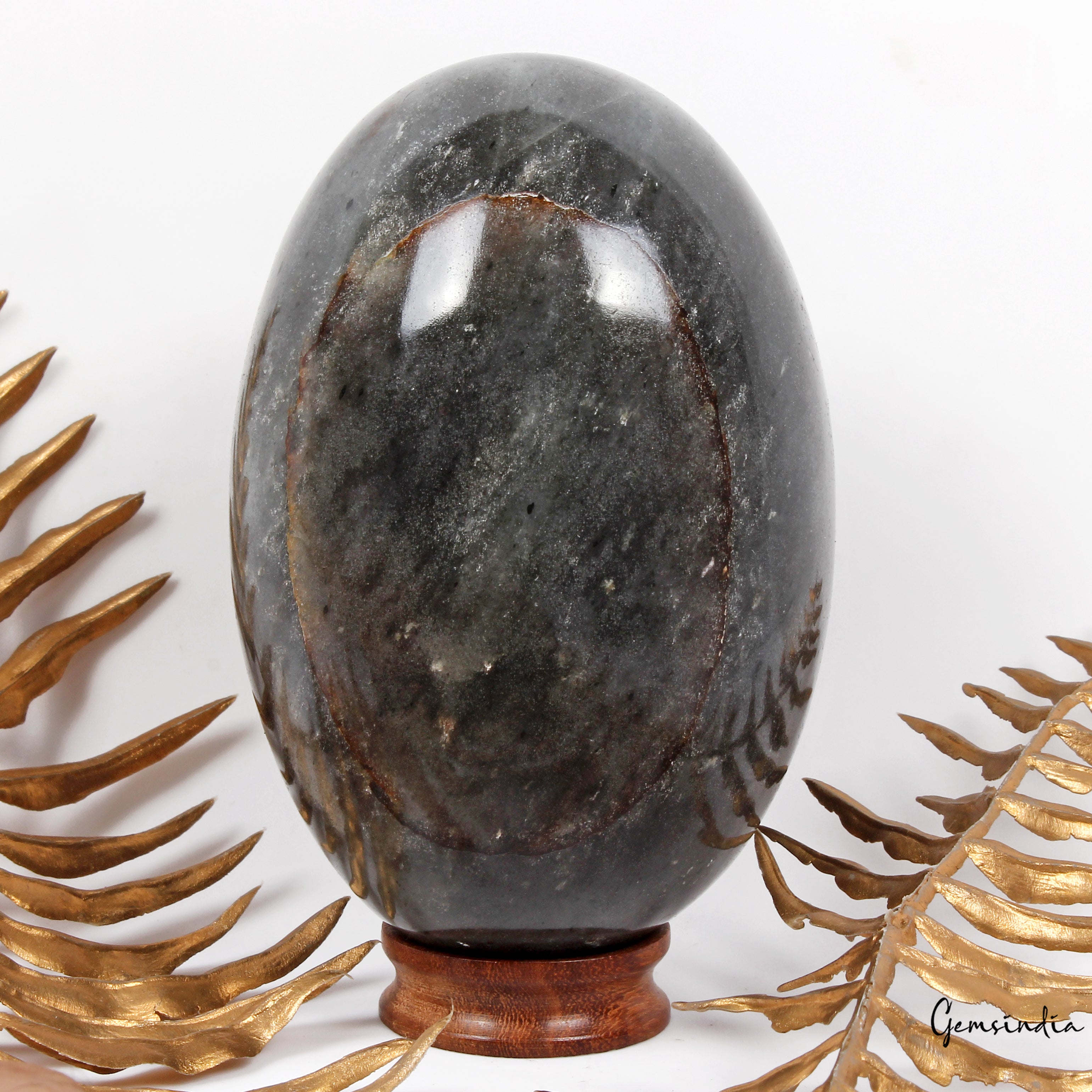 4740Ct Natural Gray Kiwi Jasper Healing Crystal Mineral Egg Shape Gem With Stand