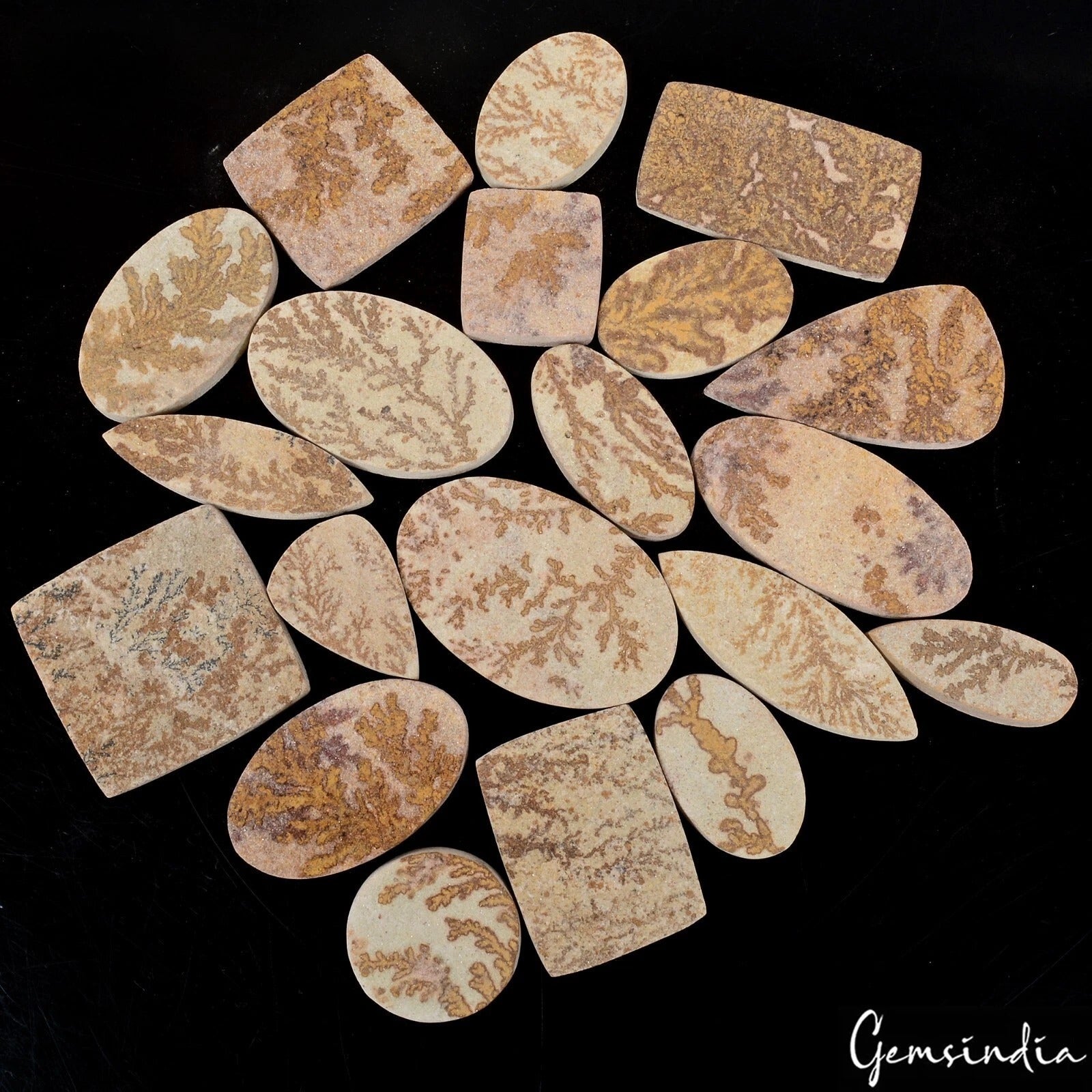 640 Cts/20 Pcs Natural Psilomelane Dendrite Fossil Tree Agate Mix Cut Loose Gems