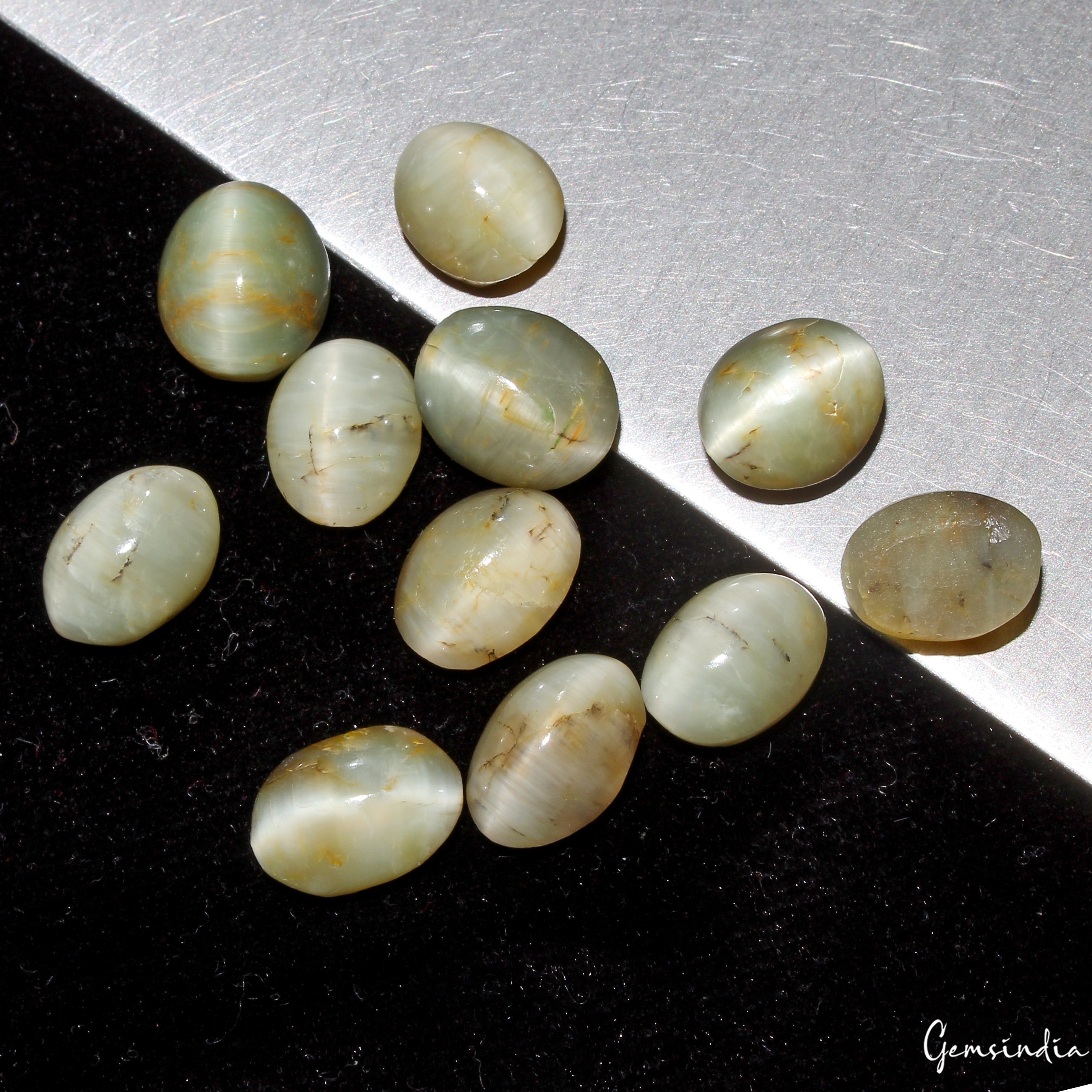48.00 Cts Natural Chrysoberyl Green Cats Eye Oval Cabochon Loose Gemstones~11 Pc