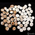 1000 Ct/66 Pcs Natural Untreated Gomti Chakra Shiva Eye Shell Cab Loose Gems Lot