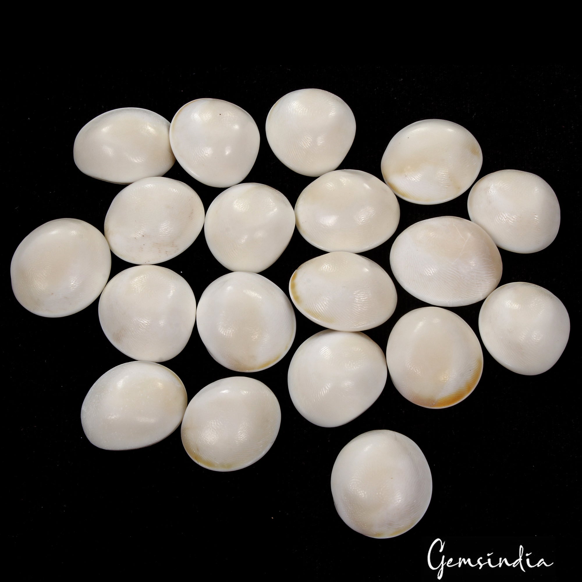 330 Cts/19 Pcs Natural Untreated Gomti Chakra Round Cab Loose Gems For Jewelry