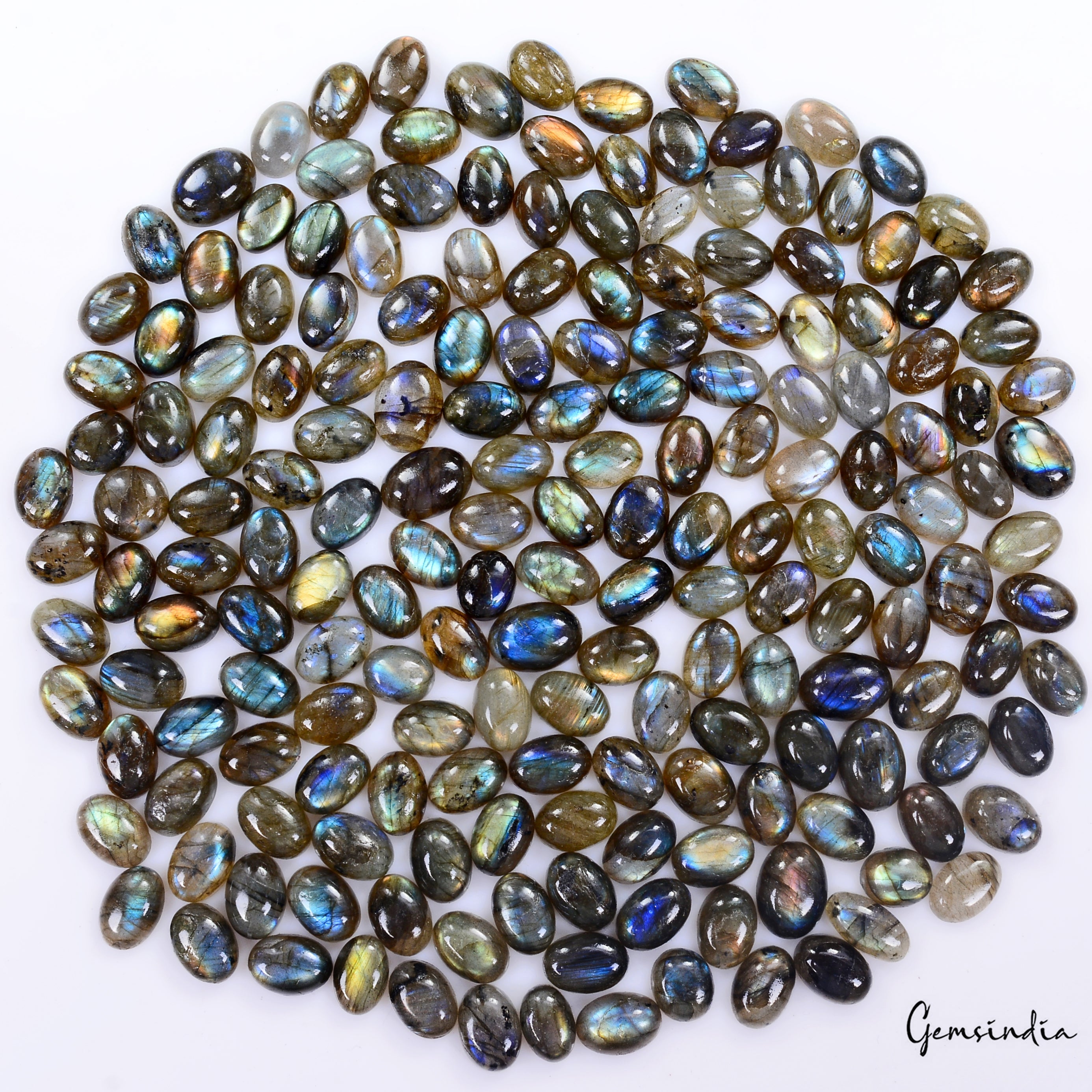 1200 Ct Natural Multi Labradorite Oval Shape Cabochon Loose Gems Wholesale Lot