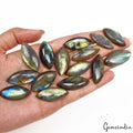 300 Ct Natural Yellow Blue Shine Labradorite Marquise Cab Loose Gems Lot 15 Pcs