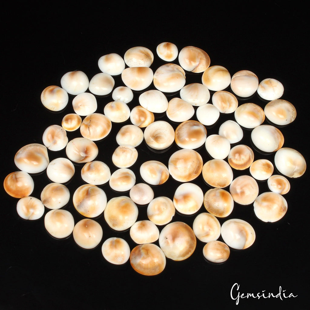 280 Ct Natural Untreated Gomti Chakra Fancy Cabochon Loose Gemstone Lot 65 Pcs