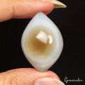 63.50 Ct Three Layers Untreated Eye Agate Rare True Specimen Healing Mineral Gem