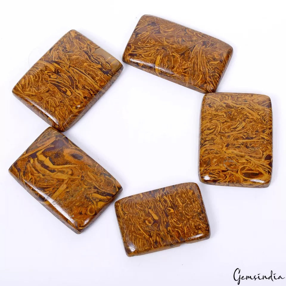 Jasper Lot, Cabochon, Untreated — 5 Pieces, 27mm to 31mm, 200 Ct