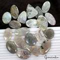 20 Pc Natural Moss Agate Top Quality 33-47mm Mix Cabochon Loose Gemstones 1080Ct