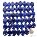 1600 Cts/46 Pcs Natural Blue Lapis Lazuli Gold Flecks Oval Loose Wholesale Gems