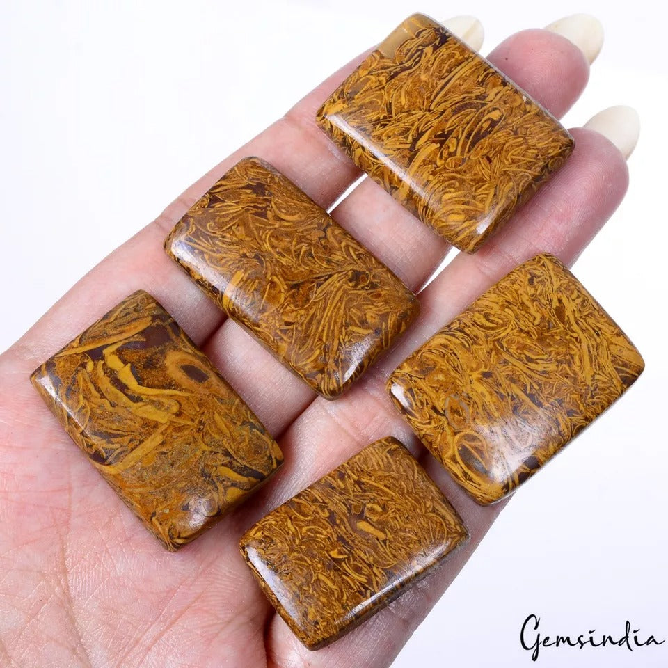Jasper Lot, Cabochon, Untreated — 5 Pieces, 27mm to 31mm, 200 Ct