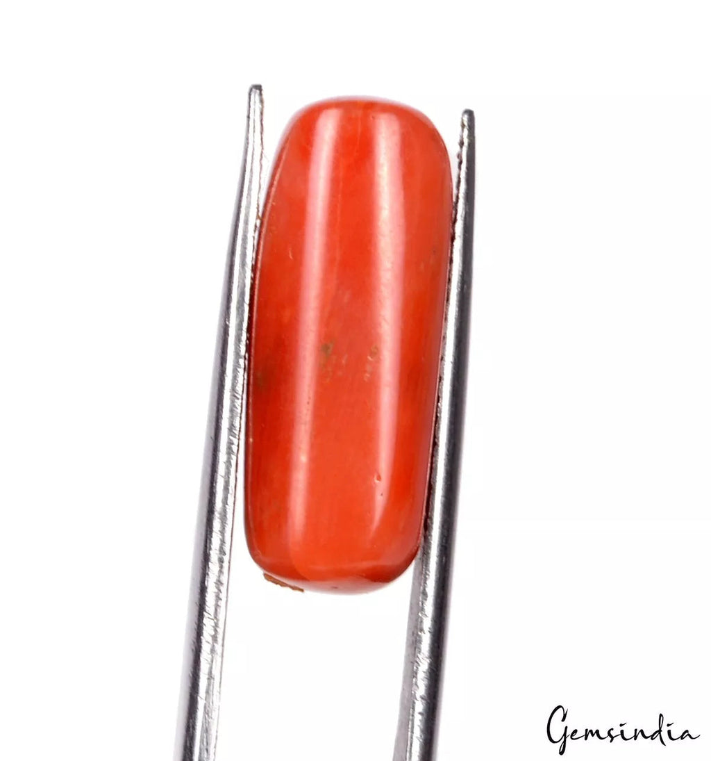 11.50 Ct Certified Natural Orange Red Coral Loose Capsule Shape Italian Gemstone