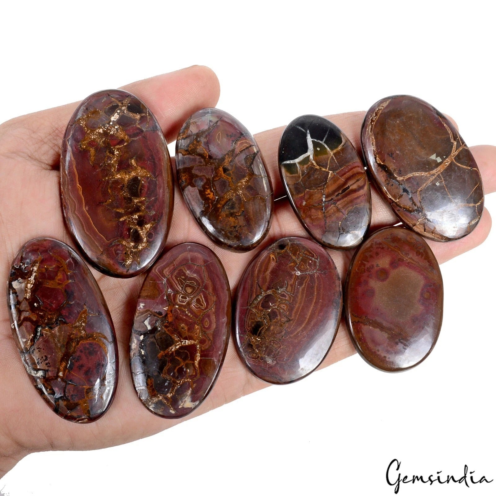 Septarian Lot, Cabochon, Untreated, Brown — 8 Pieces, 43mm, 570 Ct, India