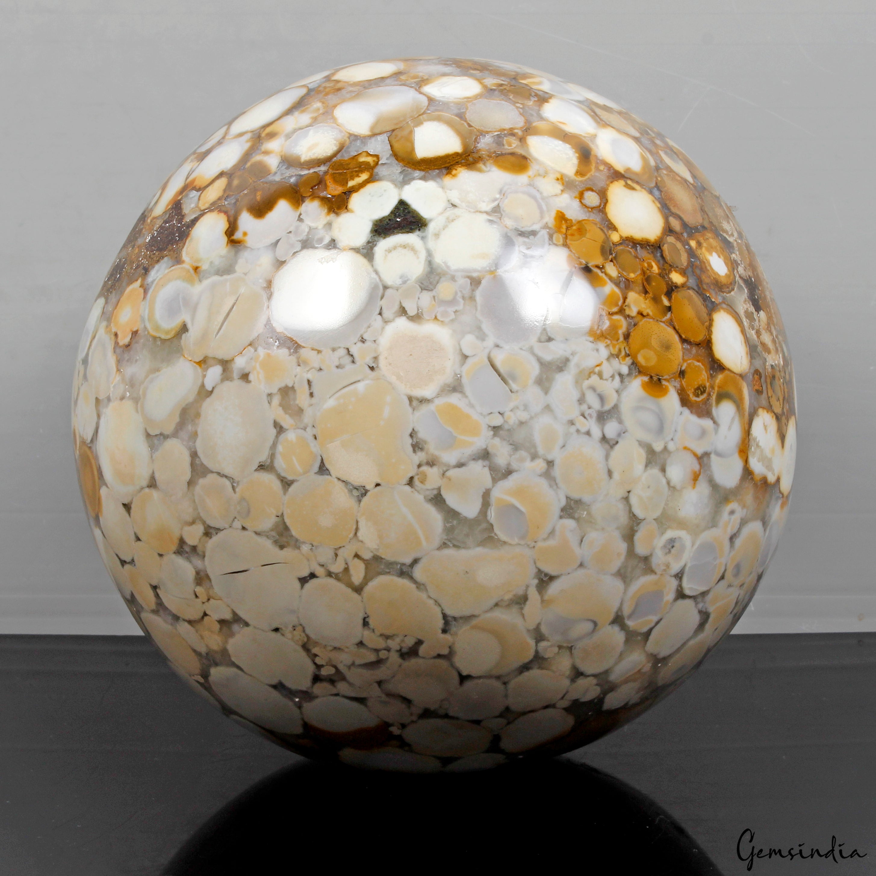 3.9 Kilo Natural Polished Bi-color Orbicular Ocean Jasper Sphere Healing Reiki