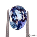 Excellent Tanzanite Oval Shape Blue 11.9x8.5x5.9 mm, 4.45 Cts Loose Gemstone