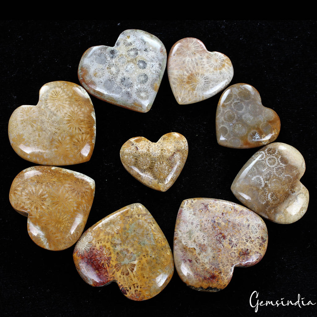 Coral Lot, Cabochon, Untreated — 9 Pieces, 24mm to 38mm, 750 Ct, Madagascar