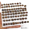 600 Ct/81 Pcs Natural Untreated Brown Sapphire Mix Cut Loose Gem Lot For Jewelry