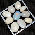 Opal Lot, Loose Gemstone, Untreated, White — 10 Pieces, 13mm to 18mm, 46.30 Ct, Australia