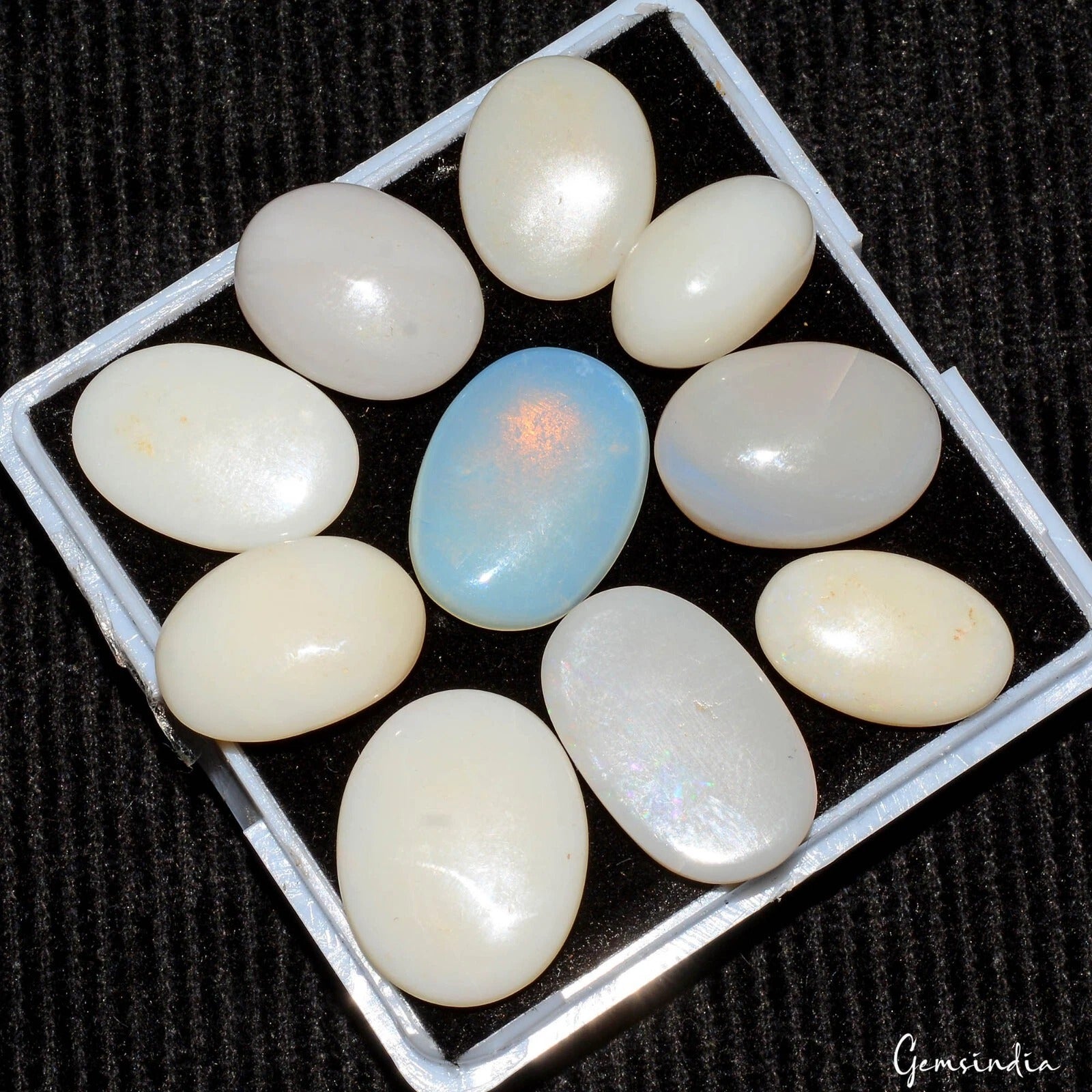 Opal Lot, Loose Gemstone, Untreated, White — 10 Pieces, 13mm to 18mm, 46.30 Ct, Australia