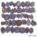 1020 Cts/41 Pcs Natural Untreated Snow Flake Jasper Mix Cab Gems Lot For Jewelry