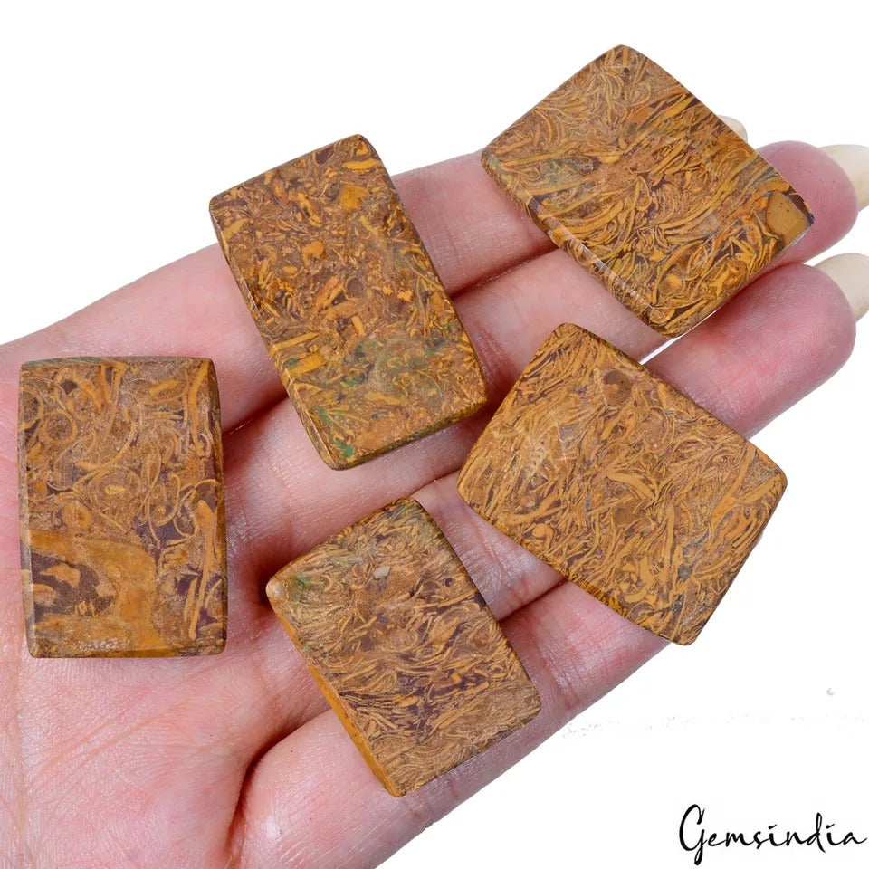 Jasper Lot, Cabochon, Untreated — 5 Pieces, 27mm to 31mm, 200 Ct