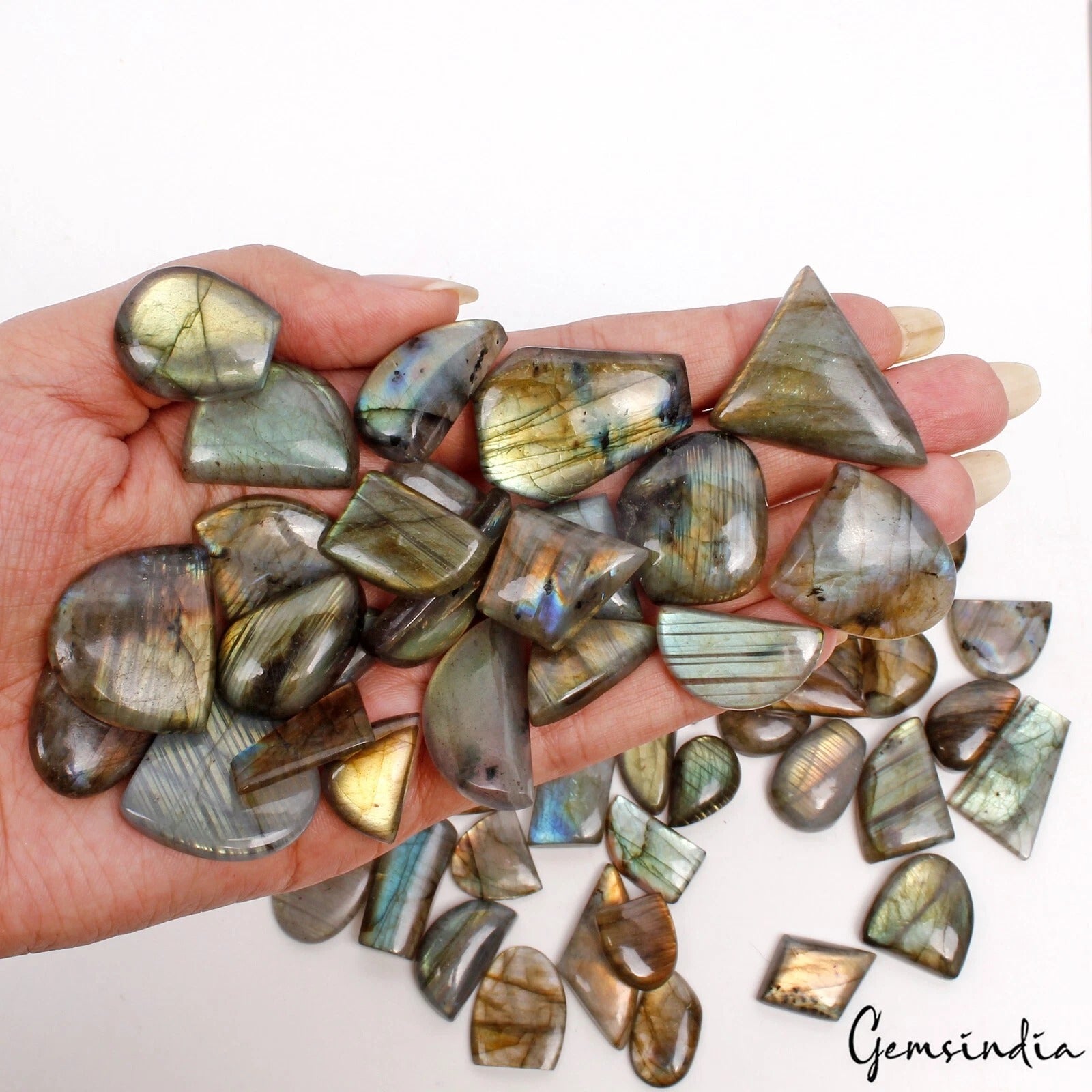 1370 Ct/72Pcs Natural Untreated Multi Chine Labradorite Fancy Cut Wholesale Gems