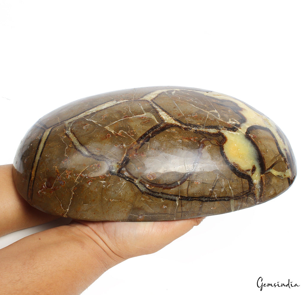 5.6 Kilo Huge Rare Natural Septarian Nodule Tri Color Dragon Oval Cab Gemstone