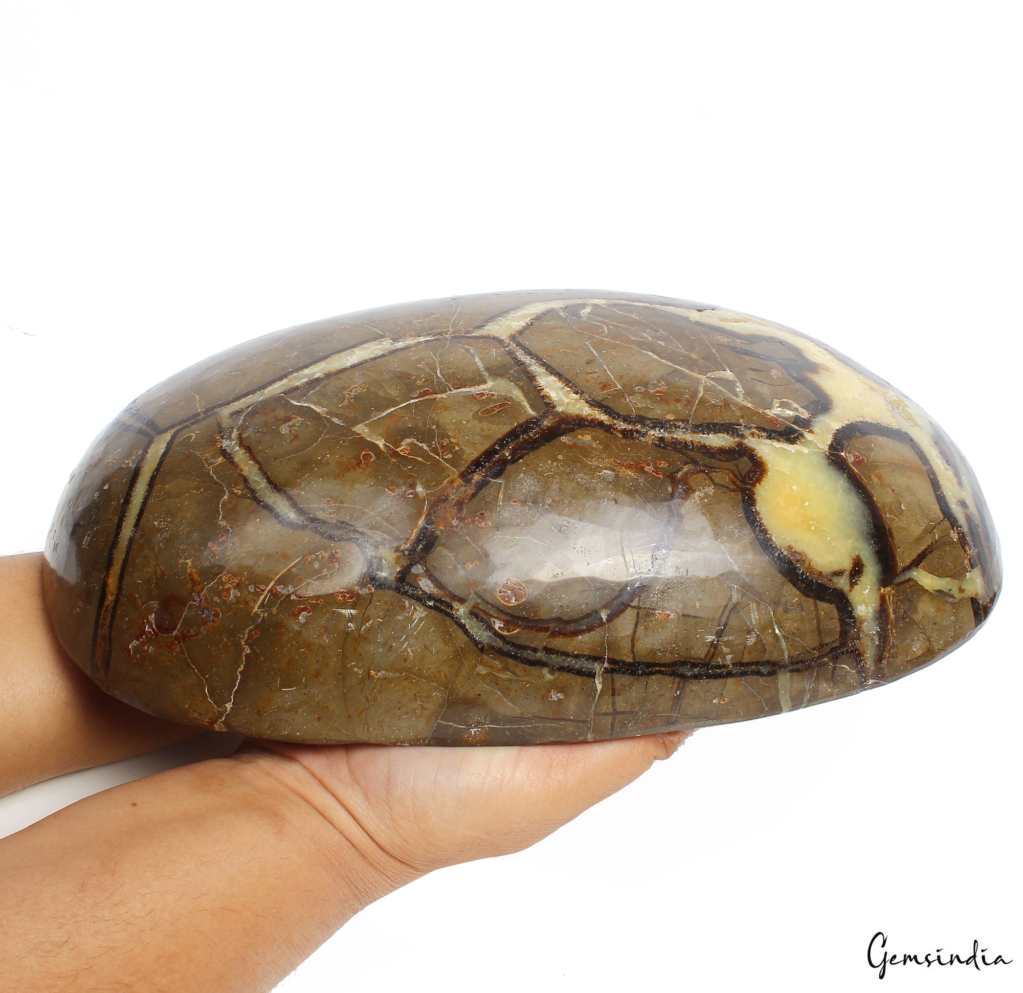 5.6 Kilo Huge Rare Natural Septarian Nodule Tri Color Dragon Oval Cab Gemstone