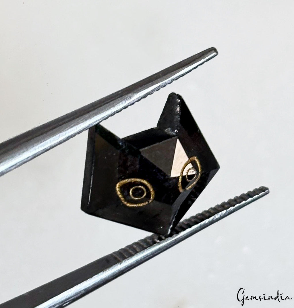 4.2ct Rare Cat Face Carving 100% Natural Earth Mined Loose Genuine Black Diamond