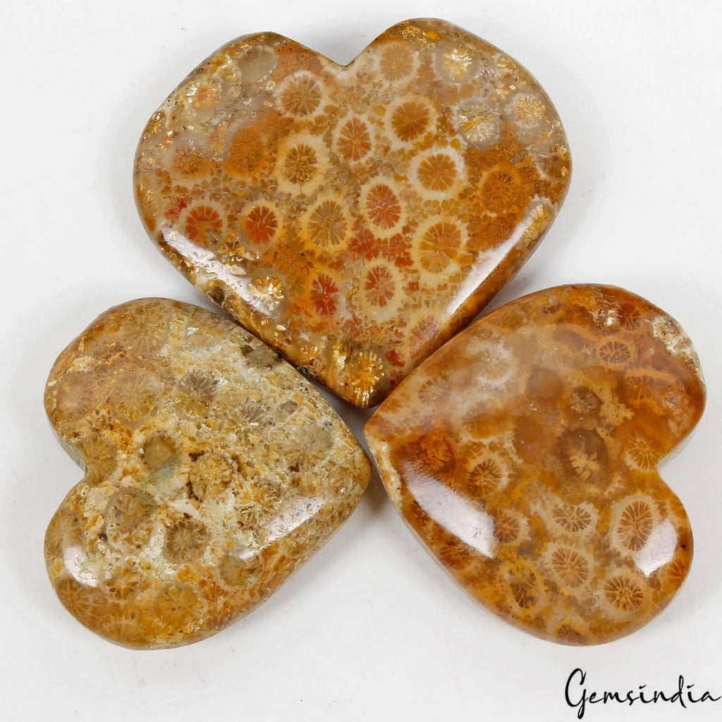 3 Pcs Natural Fossil Coral 32mm-40mm Heart Shape Loose Cabochon Gemstones Lot