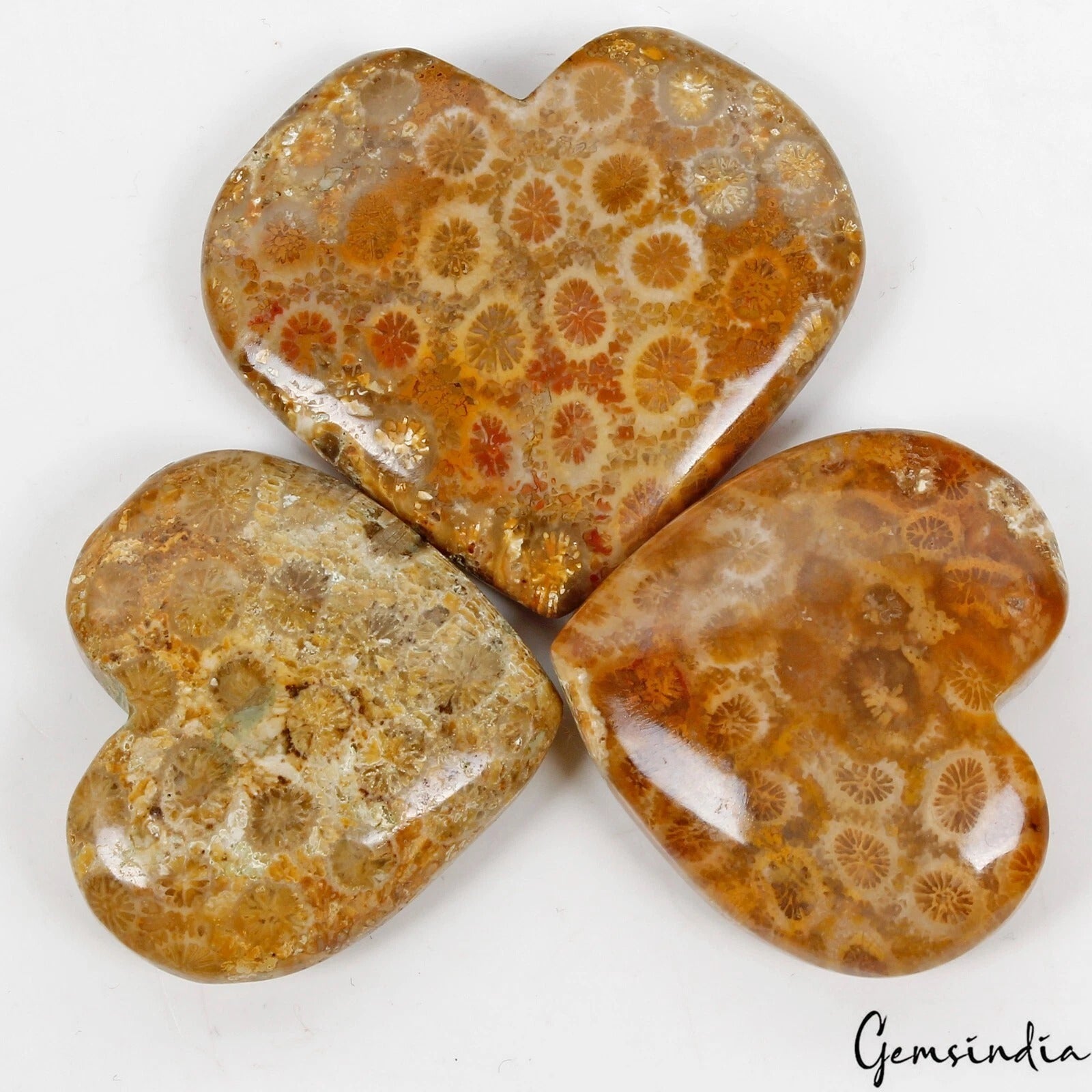 3 Pcs Natural Fossil Coral 32mm-40mm Heart Shape Loose Cabochon Gemstones Lot