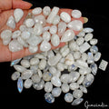 1380Ct Natural Moonstone Cabochon Blue Flashy Mix Gemstone Wholesale Lot 126 Pcs
