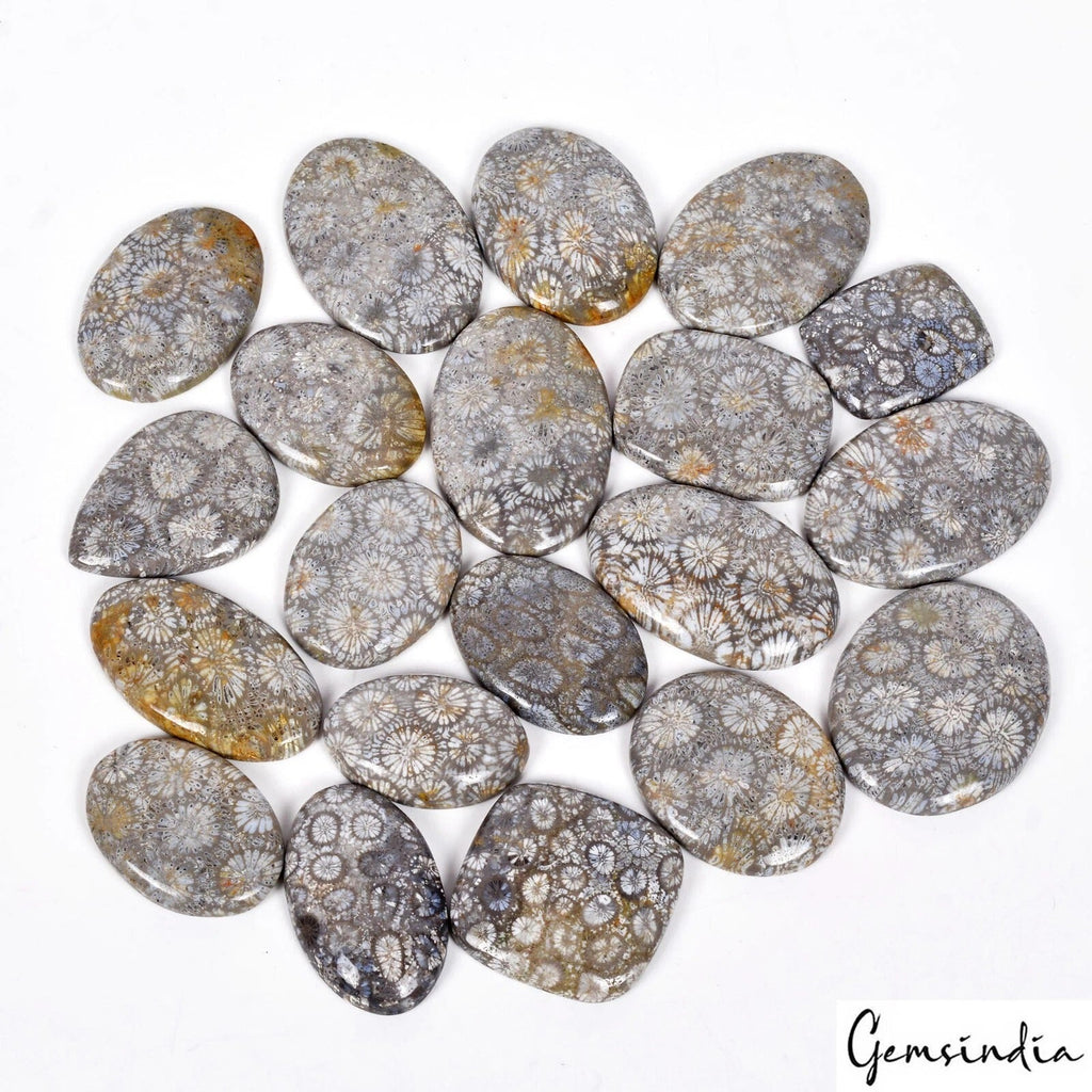 1100 Cts/20 Pcs Natural Petoskey Fossilized Coral 19-29mm Mix Cab Loose Gems Lot