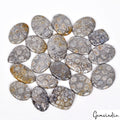 1100 Cts/20 Pcs Natural Petoskey Fossilized Coral 19-29mm Mix Cab Loose Gems Lot