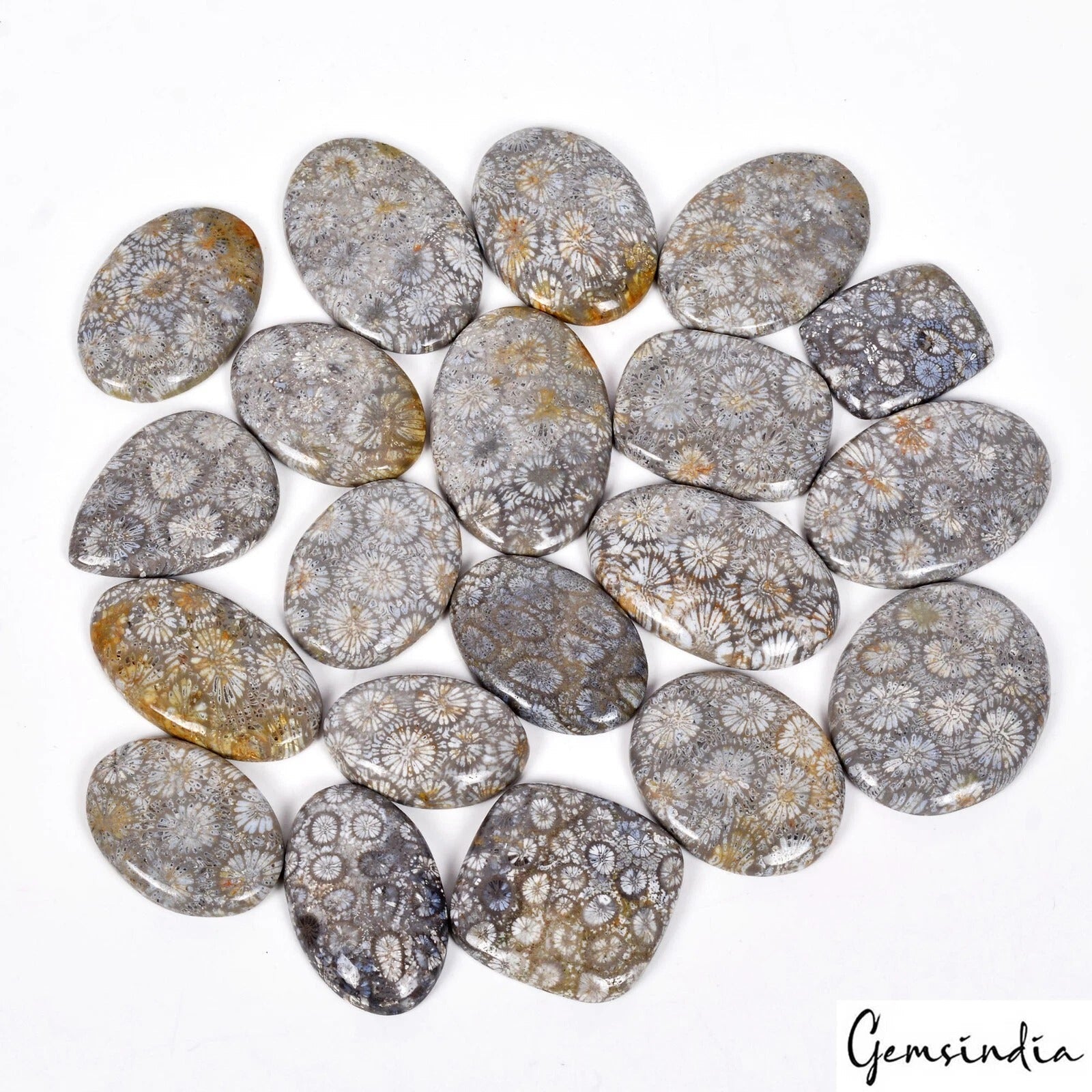 1100 Cts/20 Pcs Natural Petoskey Fossilized Coral 19-29mm Mix Cab Loose Gems Lot