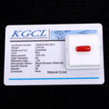 2.30 Ct Natural Italian Coral Mediterranean Sea Capsule Loose Gemstone Certified