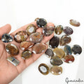 1400 Ct/26 Pcs Natural Untreated Multi-Color Sapphire Mix Cut Wholesale Gems Lot