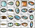 Labradorite Lot, Cabochon, Untreated — 20 Pieces, 21mm to 44mm, 770 Ct